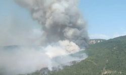 Bilecik kırsalındaki ormanlık alandaki yangın kontrol altında