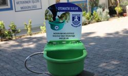 Bodrum'da sokak hayvanları için otomatik suluk
