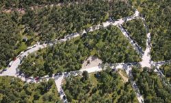 Bursa Yıldırım'da Cumalıkızık Ormanı'na yoğun talep
