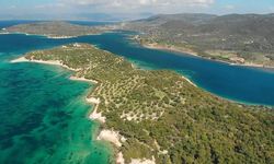 Dikili Uzunburun’da 23 bin m² tarla 16,6 milyon liradan ihaleye çıkıyor