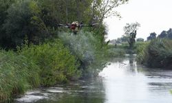 Drone ile sinek avı