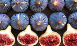 Bursa Osmangazi'de siyah incirler görücüye çıktı