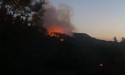 Maltepe'deki orman yangını söndürüldü 