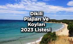 İzmir Dikili plajları ve Dikili'de keşfedilmemiş koyların listesi