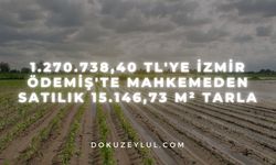 1.270.738,40 TL'ye İzmir Ödemiş'te mahkemeden satılık 15.146,73 m² tarla