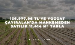 136.977,96 TL'ye Yozgat Çayıralan'da mahkemeden satılık 11.414 m² tarla