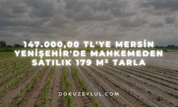 147.000,00 TL'ye Mersin Yenişehir'de mahkemeden satılık 179 m² tarla