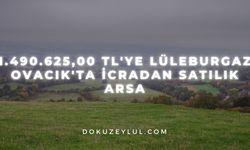 1.490.625,00 TL'ye Lüleburgaz Ovacık'ta icradan satılık arsa
