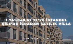 1.741.048,62 TL'ye İstanbul Şile'de icradan satılık villa