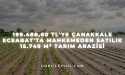 199.488,60 TL'ye Çanakkale Eceabat'ta mahkemeden satılık 15.749 m² tarım arazisi