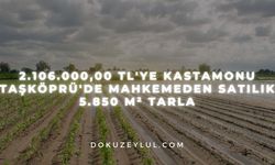 2.106.000,00 TL'ye Kastamonu Taşköprü'de mahkemeden satılık 5.850 m² tarla
