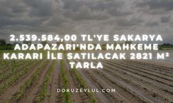 2.539.584,00 TL'ye Sakarya Adapazarı'nda mahkeme kararı ile satılacak 2821 m² tarla