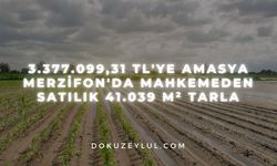 3.377.099,31 TL'ye Amasya Merzifon'da mahkemeden satılık 41.039 m² tarla