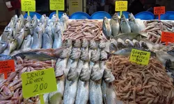 İzmir Balık Hali Fiyatları 1 Eylül 2023 Hamsinin kilosu ne kadar?