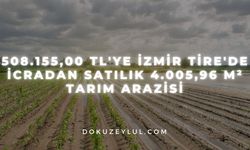 508.155,00 TL'ye İzmir Tire'de icradan satılık 4.005,96 m² tarım arazisi