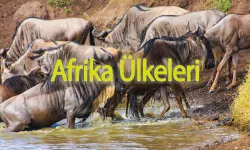 Afrika’da Görülmesi Gereken 12 Ülke | Afrika Gezilecek Ülkeler