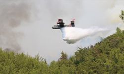 Bakan Yumaklı'dan Alanya'daki yangınla ilgili açıklama