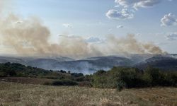 Bulgaristan sınırında yangın, Edirne'de önlem alındı