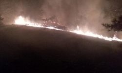 Köyceğiz'de çıkan orman yangınına müdahale ediliyor