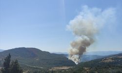 Soma'daki orman yangını, kısmen kontrol altında