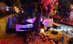 Uşak'ta ağaca çarpan otomobilin sürücüsü yaralandı