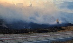 Bandırma'daki otluk yangınında 80 dönüm alan zarar gördü