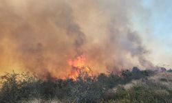 Çanakkale’de maki yangını