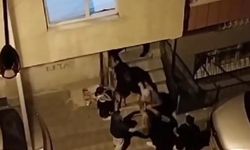 Evlilik için geldiler, kanlı bıçaklı ayrıldılar!