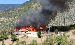 Kastamonu'da 8 ev ve 3 samanlık yandı