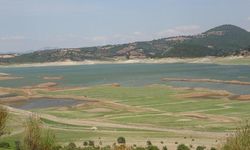 Kaz Dağları'ndan beslenen Bayramiç Barajı kurudu: Su krizi tehlikesi