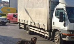Köpeği kamyonete bağlayan sürücüye 4 bin 554 lira ceza 