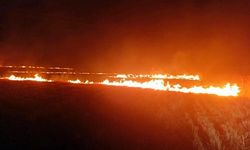 Malkara'da 40 dönüm alanda anız yangını