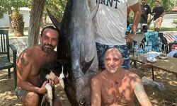 Amatör balıkçılar, oltayla iki metrelik orkinos yakaladı