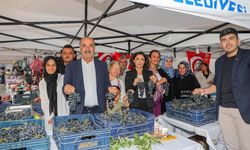 Mudanya Belediyesi, Çağrışan Bağbozumu Şenliği’ni gerçekleştirdi