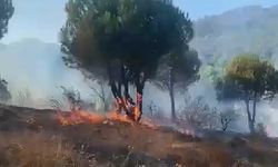 Sancaktepe'de orman yangını 