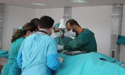 SDÜ Tıp Fakültesi kadavra arıyor