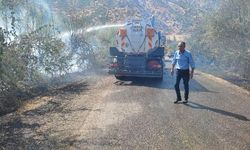Siirt'te tarım arazisindeki yangın ormana sıçramadan söndürüldü