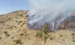 Sivas'ta otluk ve ağaçlık alanda çıkan yangına müdahale ediliyor