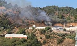 Turgutlu'da ot yangını, büyümden söndürüldü