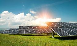 Ulusal bal markası, 501 kilowatt kapasiteli güneş enerjisi santralı kurdu 