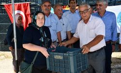 Manisa Büyükşehir’den Selendili üreticilerine kasa desteği