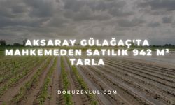 Aksaray Gülağaç'ta mahkemeden satılık 942 m² tarla