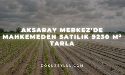 Aksaray Merkez'de mahkemeden satılık 9230 m² tarla