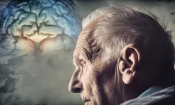 Damar Gençleştiren ve Alzheimer Riskini Azaltan Mucize Baharatlar