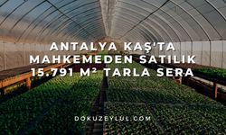 Antalya Kaş'ta mahkemeden satılık 15.791 m² tarla sera