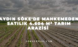 Aydın Söke'de mahkemeden satılık 4.604 m² tarım arazisi