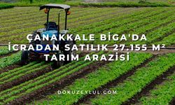 Çanakkale Biga'da icradan satılık 27.155 m² tarım arazisi