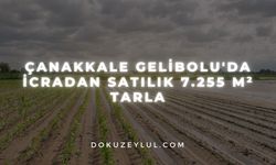 Çanakkale Gelibolu'da icradan satılık 7.255 m² tarla