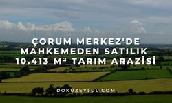 Çorum Merkez'de mahkemeden satılık 10.413 m² tarım arazisi