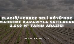 Elazığ/Merkez Seli Köyü'nde mahkeme kararıyla satılacak 2.549 m² tarım arazisi